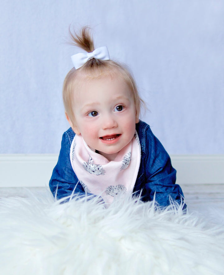 Hedgehog Pink Bandana Bib